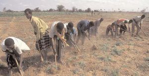 farmers-f9d