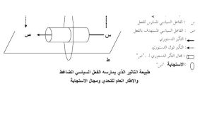 araa82-21d
