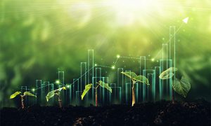 Seedling,Are,Growing,From,The,Rich,Soil,With,Business,Arrow
