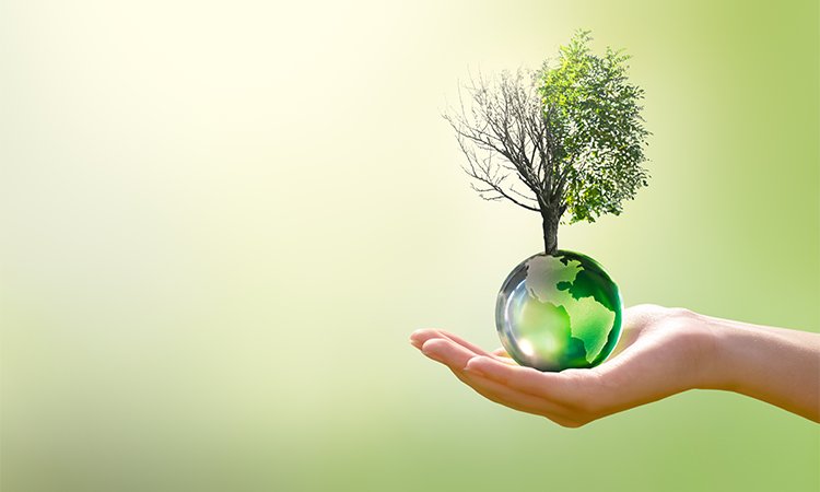 Earth,Day,Or,World,Environment,Day,,Combat,Desertification,And,Drought