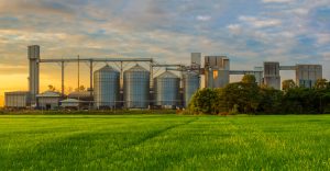 Agricultural,Silos,-,Building,Exterior,,Storage,And,Drying,Of,Grains,