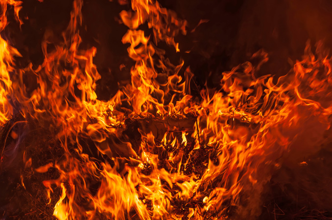 Fire.,Burning,Dry,Grass.,Big,Flame,On,Full,Screen