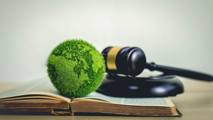 The,Green,World,Is,In,The,Book,There,Is,A