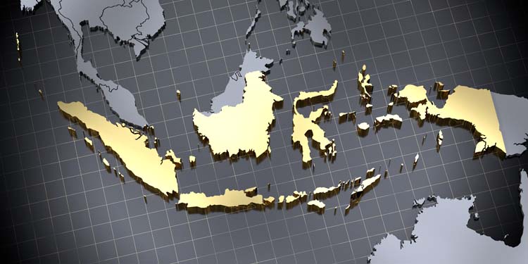 Indonesia - country shape - 3D illustration