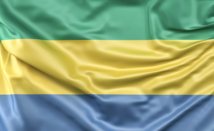 64f461609af2bthegabongroup