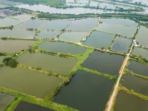Top view of Fish hatchery pond