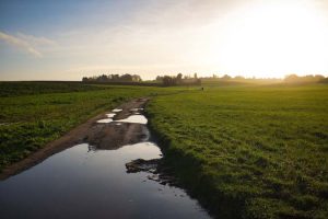 Wide green field with a road filled with water