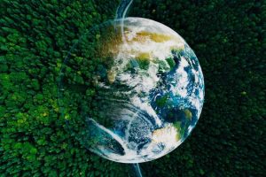 Save,The,Planet.,Aerial,View,Of,Coniferous,Forest,And,Planet