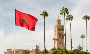 Red,Flag,With,Palms,From,Morocco,And,Djemma,El,Fna