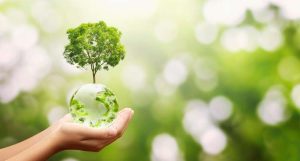 Hand,Holding,Glass,Globe,Ball,With,Tree,Growing,And,Green