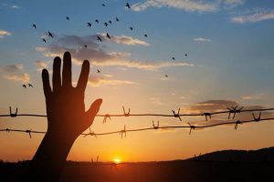 International,Holocaust,Remembrance,Day.,January,27.,Silhouette,Of,Hand,With